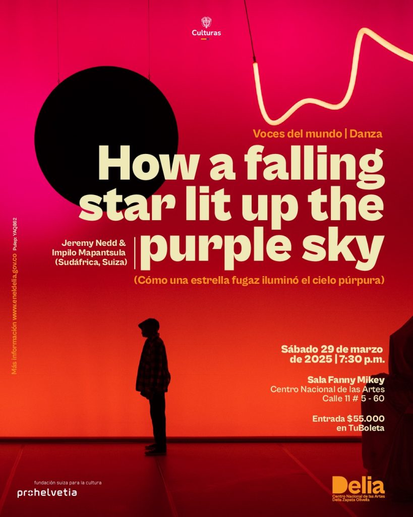 ¿Qué pasa cuando la narrativa del cine western se fusiona con la danza urbana de Sudáfrica? How a Falling Star Lit Up the Purple Sky (Cómo una estrella fugaz iluminó el cielo púrpura)