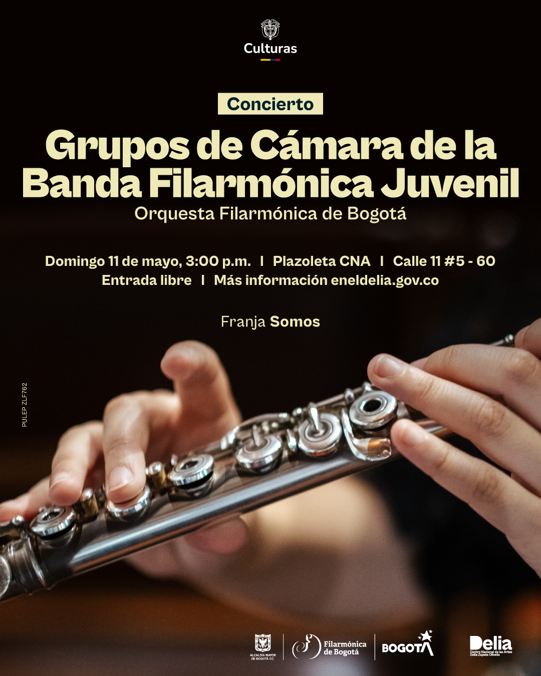Concierto – Grupos de Cámara de la Banda Filarmónica Juvenil