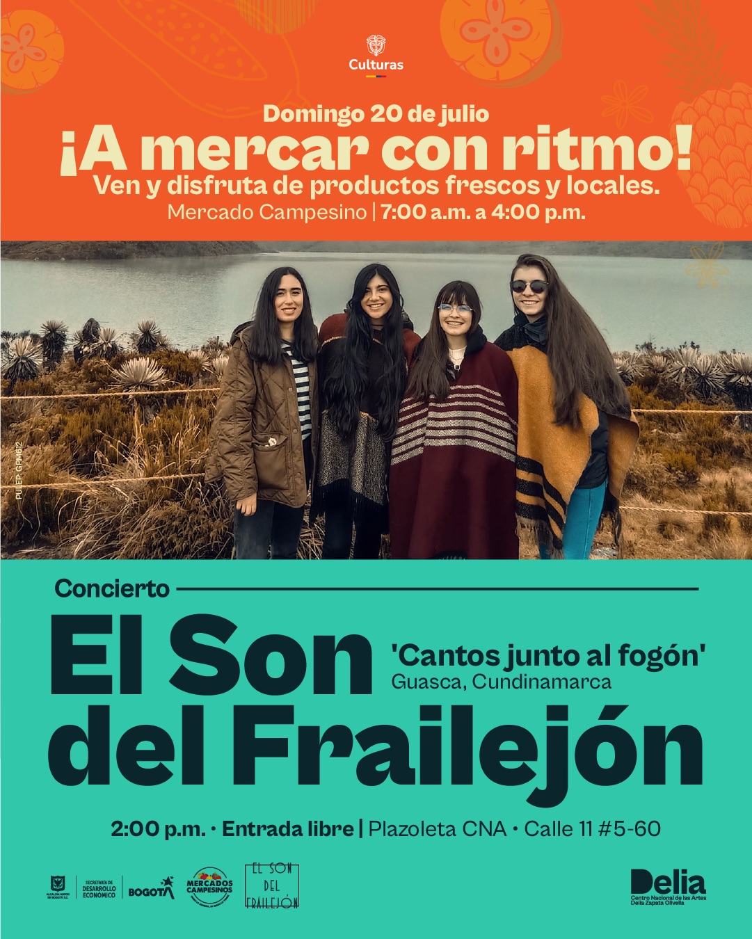 A mercar con ritmo – El Son del Frailejón: raíz campesina que florece en escena