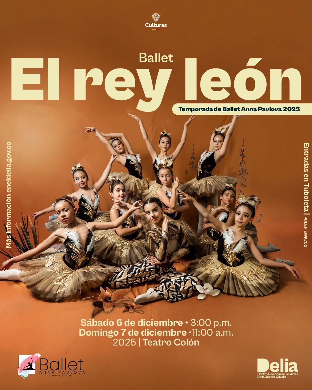 el Ballet Anna Pavlova presenta una puesta en escena que revive a través de la danza, la historia de Simba, el joven príncipe que deberá enfrentar el peso de su propio destino. El público viajará por el ciclo de su vida, acompañando a Simba en su transformación: desde su infancia hasta tener la valentía de reclamar su lugar como rey.