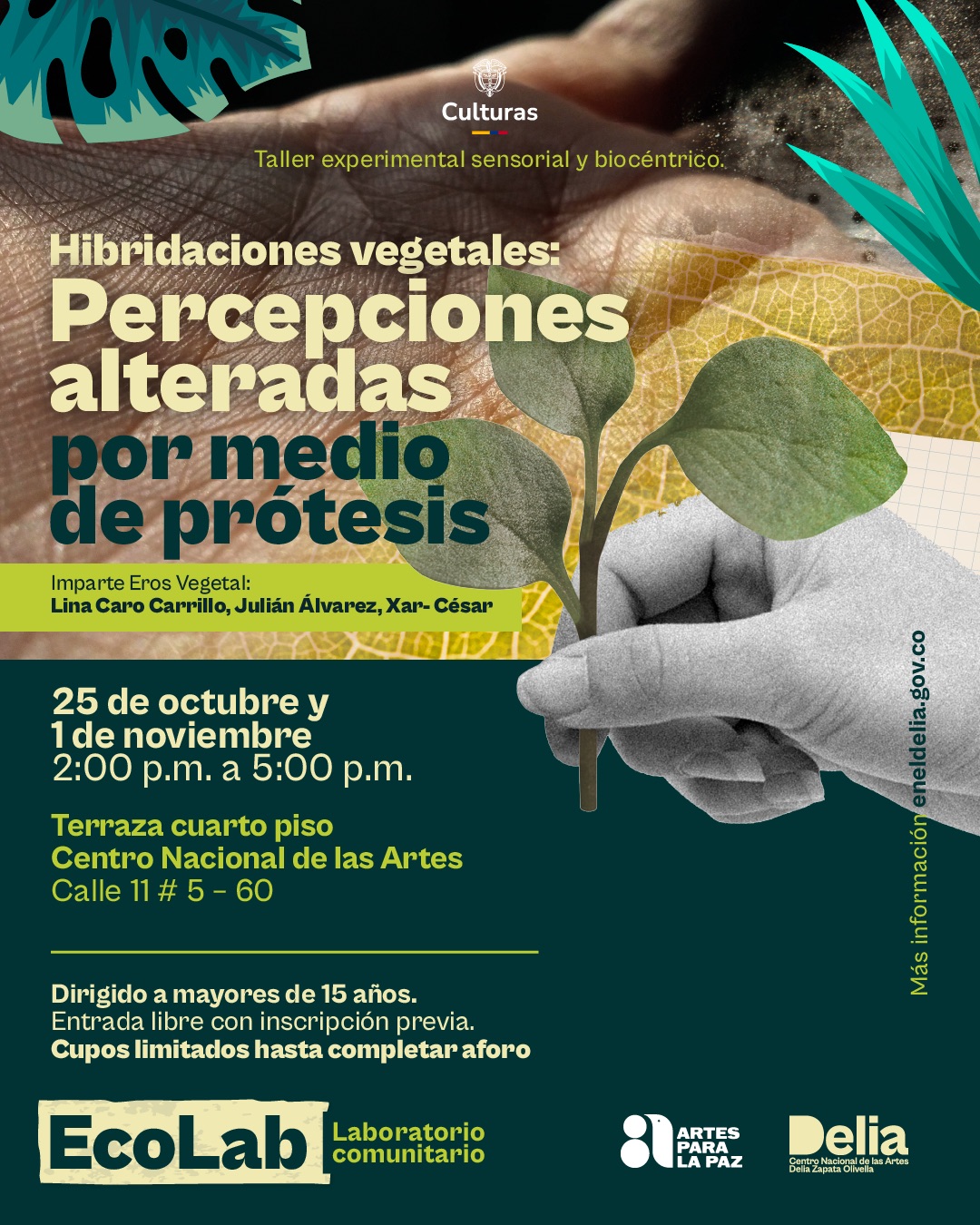 El taller Hibridaciones vegetales: percepciones alteradas por medio de prótesis hace parte del programa de Prácticas y Formación del Centro Nacional de las Artes, en el marco del laboratorio comunitario EcoLab.