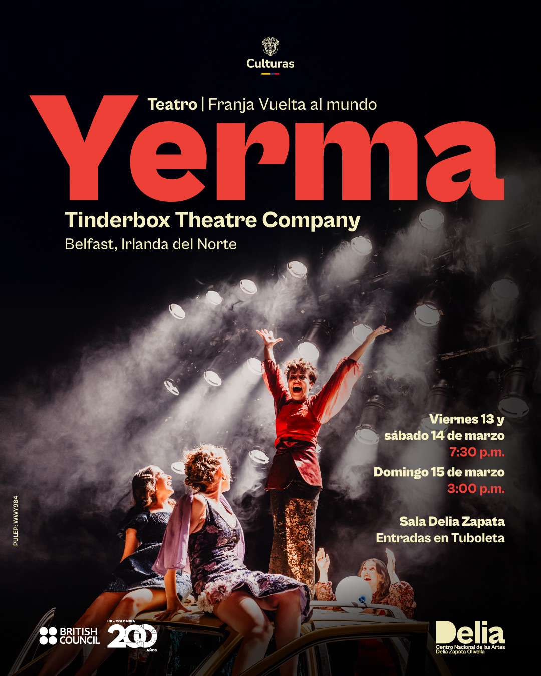 Yerma es una reinvención contemporánea y salvaje de la tragedia de Federico García Lorca, ambientada en un hotel familiar en las montañas Cooley de Irlanda, durante la celebración de un bautizo que pronto se torna caótico.