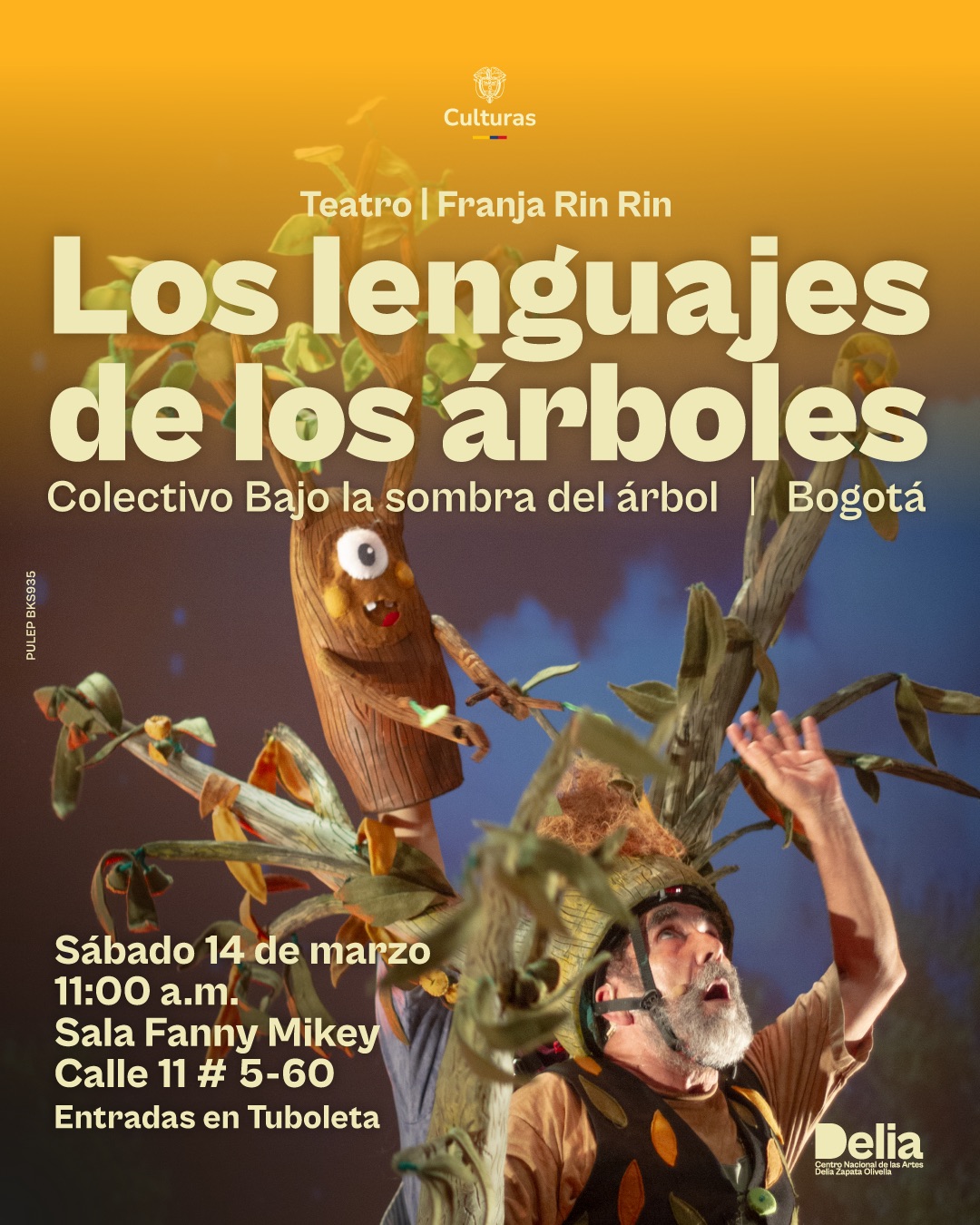 Bajo la sombra del árbol es una creación multidisciplinar del colectivo Bajo la Sombra del Árbol, dirigido a la primera infancia, que celebra la vida, poesía y memoria de los árboles a través de juegos corporales, música en vivo, palabra, video y objetos.