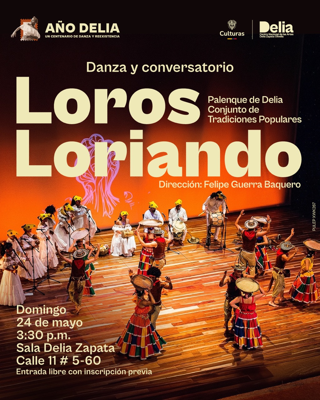 Loros loriando 2026