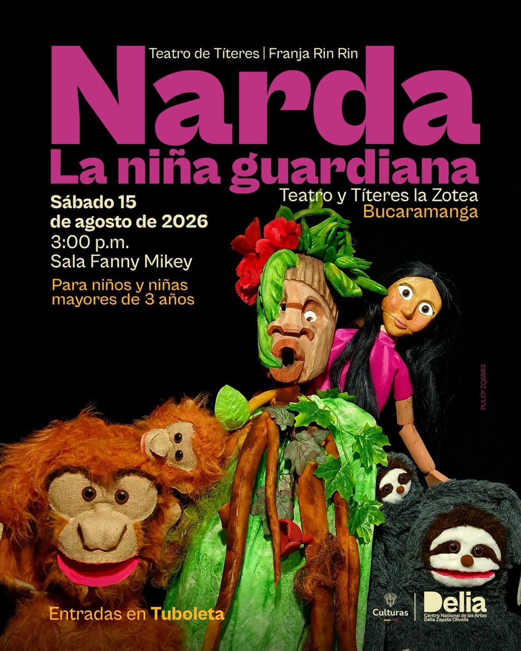 Narda la niña guardiana – Franja Rin Rin