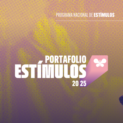 Portafolio del Programa Nacional de Estímulos 2025 - Convocatoria